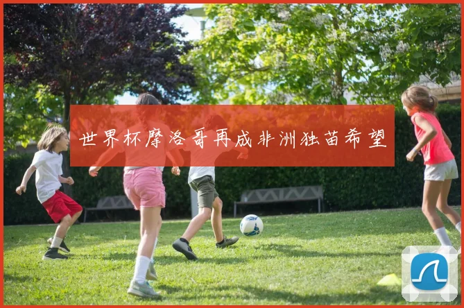 世界杯摩洛哥再成非洲独苗希望