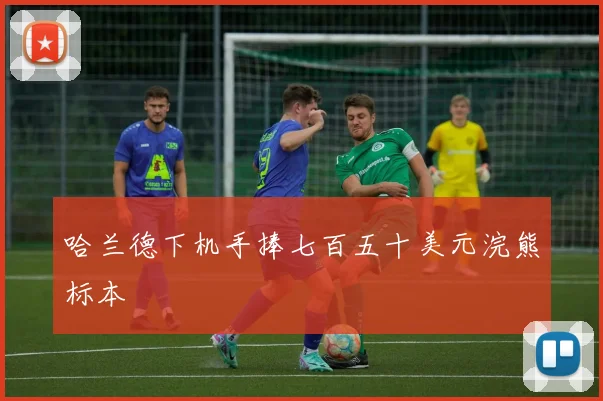 哈兰德下机手捧七百五十美元浣熊标本